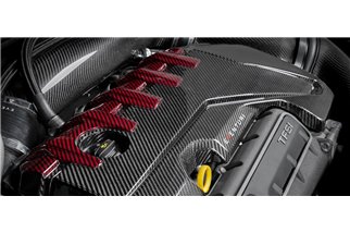 Coprimotore in carbonio nero EVE-ST38V8S-CF-ENG Audi RS3