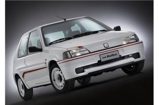 KOMPLETTER AUSPUFF ZENTRALER UND TERMINALKRÜMMER FÜR PEUGEOT 106 RALLY EDELSTAHL