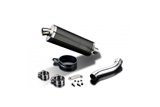 DUCATI MONSTER 821 15-19 1200 14-19 KIT SCARICO BSAU CARBONIO OVALE 350MM