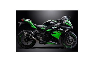 KAWASAKI NINJA 300 2013-19 SCARICO COMPLETO 2-1 SILENZIATORE OVALE IN CARBONIO DA 225 MM