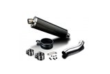 DUCATI MONSTER 821 15-19 1200 14-19 450MM OVAL CARBON BSAU EXHAUST KIT