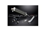 TRIUMPH SPRINT ST 955I 1998-2005 350MM CARBON BSAU SILENCER EXHAUST KIT